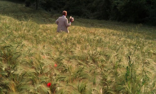 timotaychalamet:A Room with a View (1985) dir. James Ivory