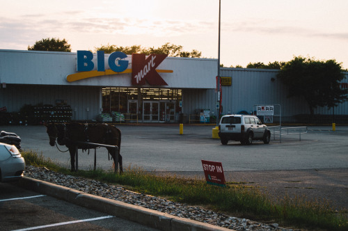 July 2, 2015- A horse hitched in a K Mart parking lot in Michigan…