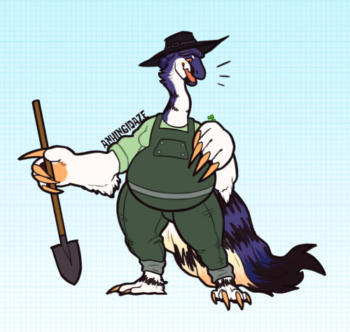 anhingidaze