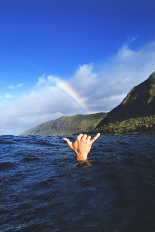 thesurfculture:  FOLLOW US ON -&gt; TUMBLR | FACEBOOK
