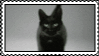Please Refer To My Pinned Post Under "my Edits" For My Stamp Rules