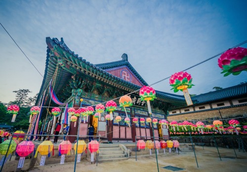 lovesouthkorea: Lanterns at Haeinsa Temple  source: www.10picturesinpohang.com