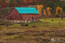 bookofoctober:  Outside Sudbury, Ontario. Photo by Ray Thoms