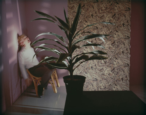 endthymes:  jo ann callis 