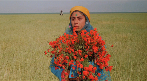  Gabbeh (Mohsen Makhmalbaf, 1996) 