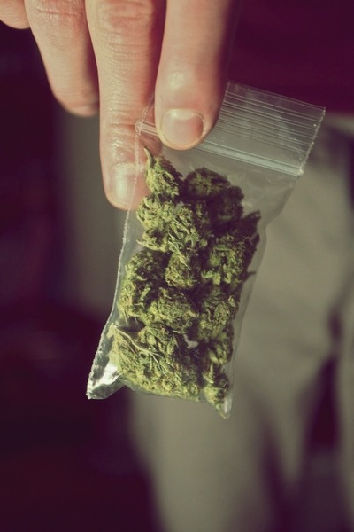 Weed LTD