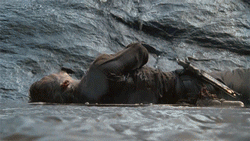 The best part of waking up, is Norman on your dash....Good Norming, y’all!!!