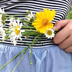 kahlokiwi:  flowers and my new blue shorts