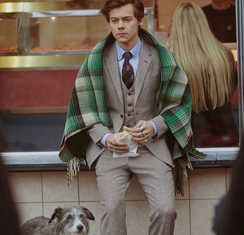 thedailyharry: Harry Styles for Gucci Tailoring Campaign (Photographed by Glen Luchford)