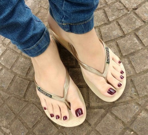 mynorg:  Flipflops adult photos