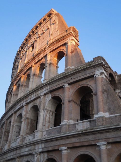 Colosseo, quasi il tramonto, Roma, 2019.