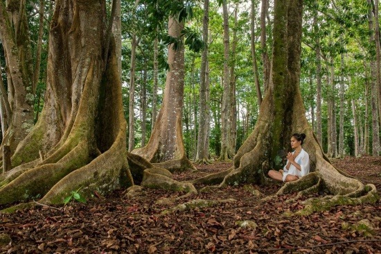 yogaholics:  Follow me if you love yoga!