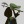 xxtc-96xx:  mr-crocodile:   