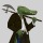 xxtc-96xx:  mr-crocodile:   