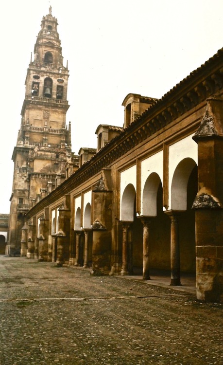 Patio, claustro y campanario, Mezquita, Córdoba, 1986.