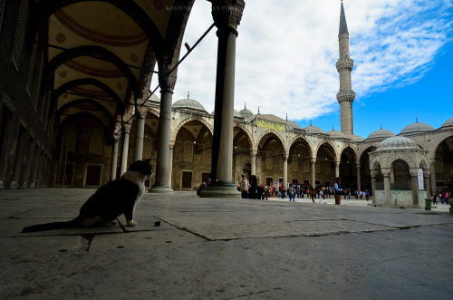 Istanbul, Turkey #1photo by Kirienko Roman (romanophoto.tumblr.com)