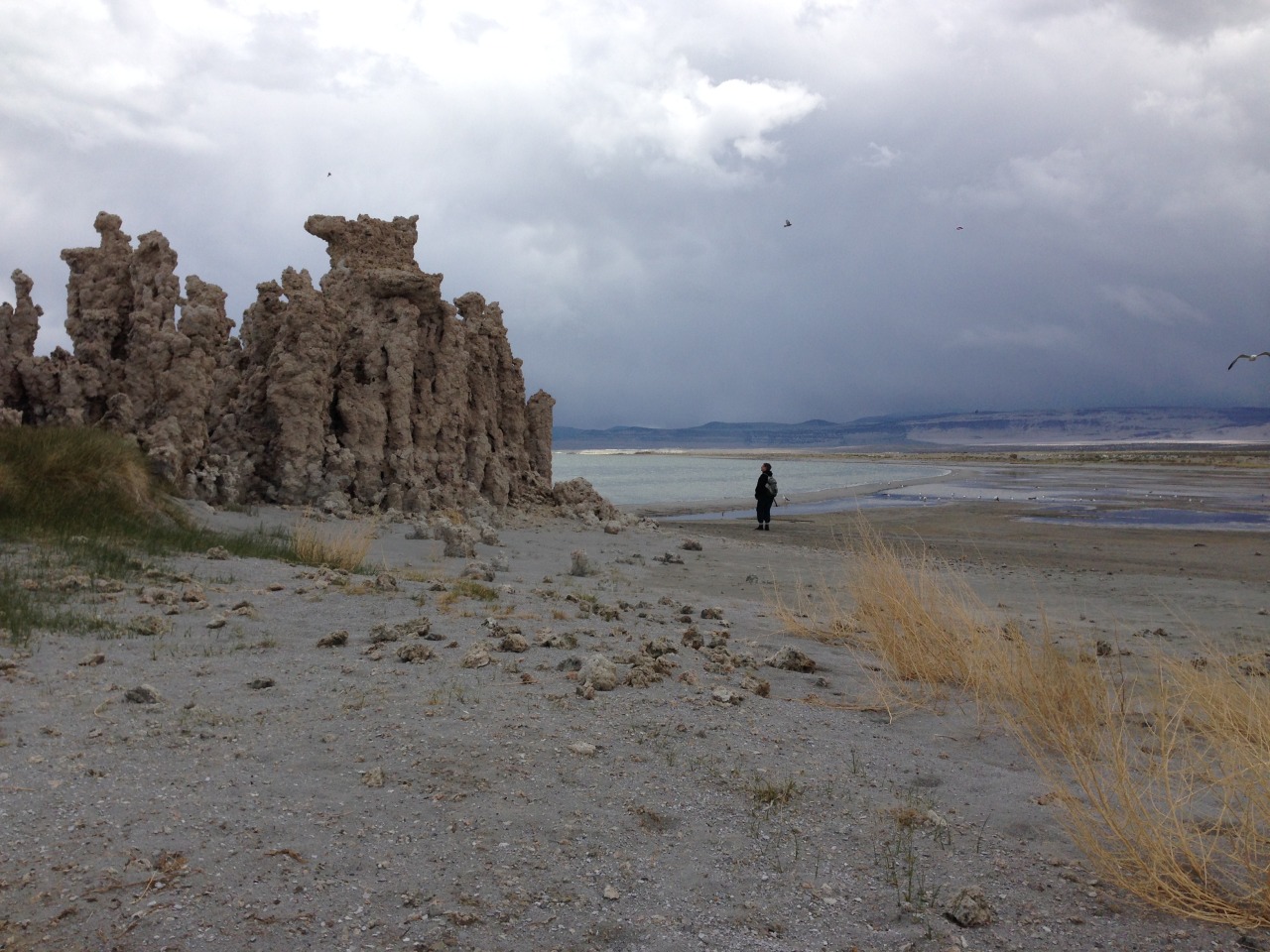 exploratorium:  Mono Lake is an amazing landscape. The lake has no outlets and has