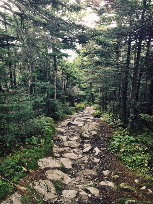 spiritbreather:today at mount equinox summit, vermont