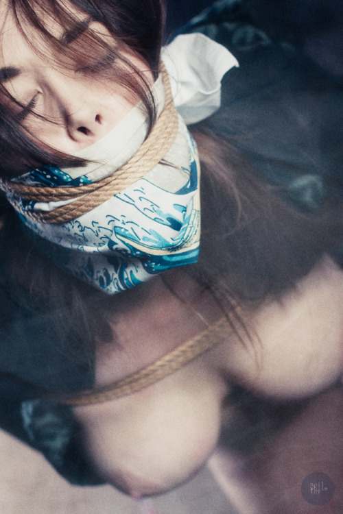 darkangelsbride:  Photo by Neil Whiteley 