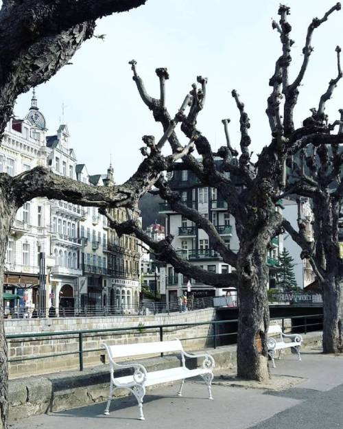 #latergram #bench at the #river in #spring #karlovyvary #karlsbad (hier: Karlovy Vary)
