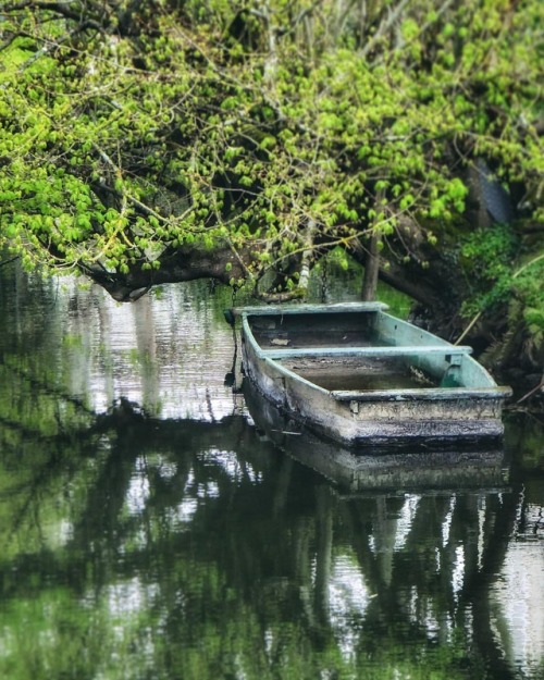 A spring green colour pallet on the Charente, Civray . . #weaversofinstagram #inspiredbynature #spri