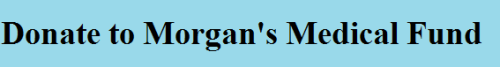 irlflamedemon: www.youcaring.com/medical-fundraiser/donate-to-morgan-s-medical-emergency-fun