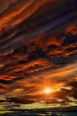 opticallyaroused:  Fire in the sky   yara