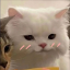 catucatuyea