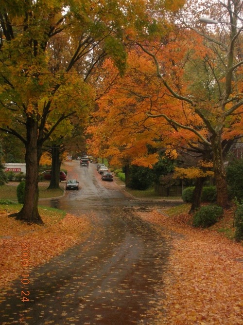 somethingsomethingtralala - Spooking, Spice, & All Autumn Nice