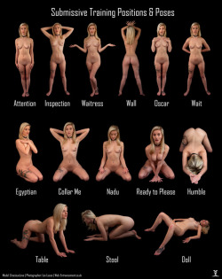 knightindirtyarmour:  gallowglass:  goreanmaster:   hypnodolls:  Slave training poses with Gracieux. Can anyone think of a better pose name for Oscar?   .   Perfect  handy reference table 