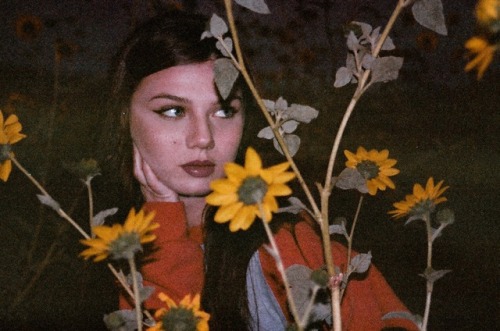 Sunflower Fields Forever