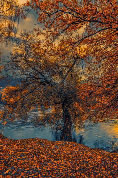 john-noe: By John Noe