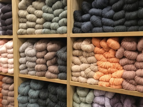 yarn shop