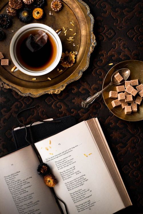 Poetry and Tea | Fall Inspiration