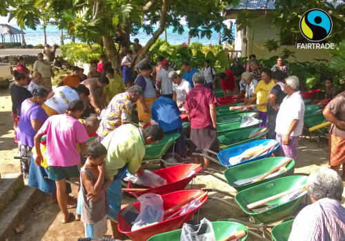 Farming improvements for coconut farmers in the South Pacific If you want to grow good coconuts, you’ve got to have good soil. So when Savai’i Coconut Farmers Association (SCFA) realised their members had problems with soil quality, they applied for...