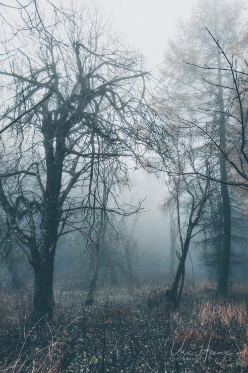 clouded by mist &hellip; | uwhe-arts
