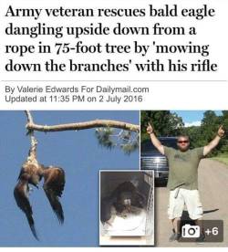 swan2swan:  specsthespectraldragon:  funny-pictures-uk: The most American thing that has ever happened  inb4 “that doesn’t look like a bald eagle” congratulations! you have been fooled by the juvenile plumage of the bald eagle. this man rescued