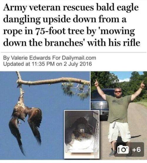 swan2swan: specsthespectraldragon: funny-pictures-uk: The most American thing that has ever happened