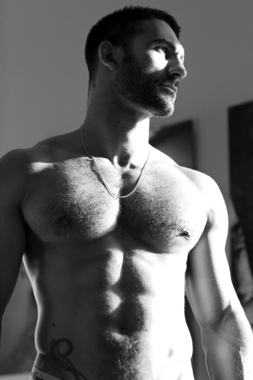 joselito28:  tshtrainer:  Premium Male  @brackus