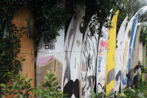 Surfboard fences…