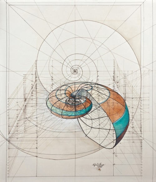 ‘Calculation’ Illustrations by Rafael Araujo.