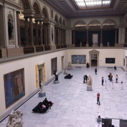 seatail:  Royal Museums of Fine Arts of Belgiumtoday