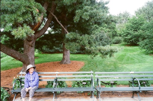 judelianaphotodiary:  Bronx Botanical Gardens, 2015