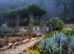 tinker-tailor-gypsy-sailor:  Pena Park, Sintra, Portugal.  Photo by Paulo Flop 