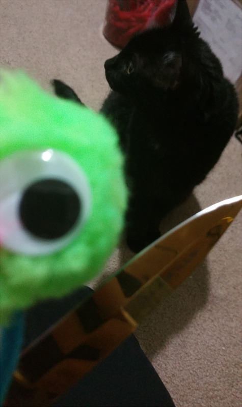 toodutchforyou:  chickenstab:  chickenstab:  chickenstab:  I GOT PIPE CLEANERS AND GOOGLY EYES AND I MADE A FRIEND TODAY   HIS NAME IS SPOOB  THE WILD ADVENTURES OF SPOOB spoob, getting a refreshing drink spoob, redefining the meaning of bird watching