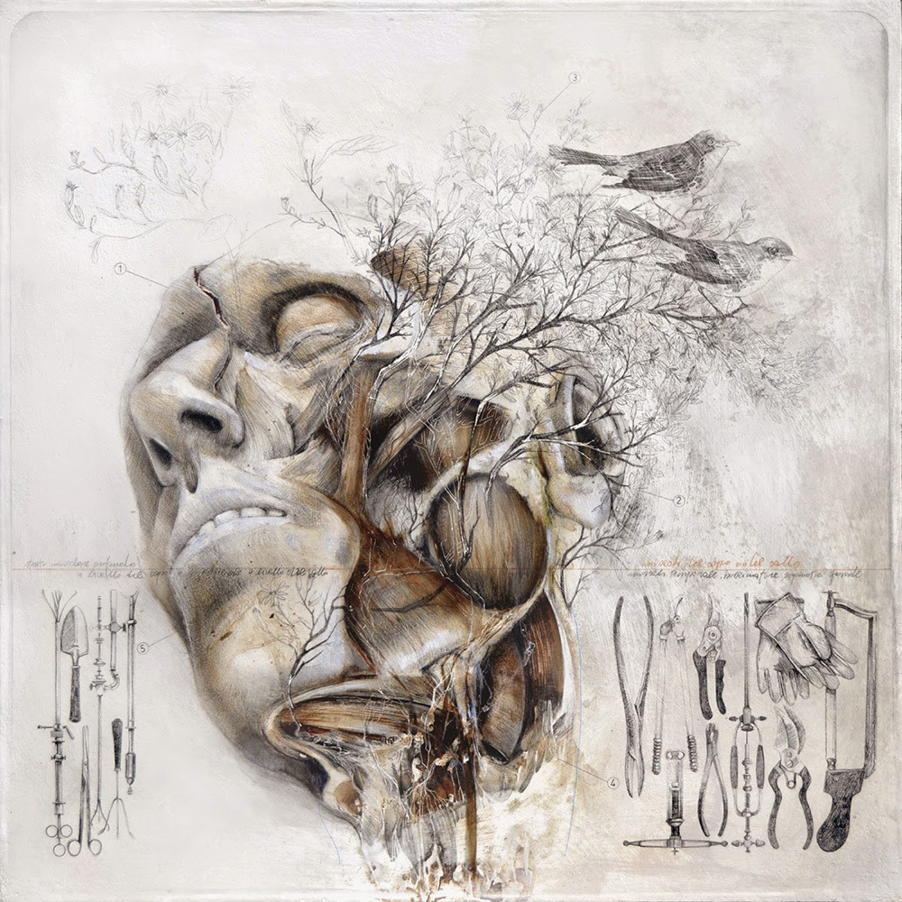 itscolossal:  Birds and Fauna Sprout From Nunzio Paci’s New Graphite and Oil Anatomical