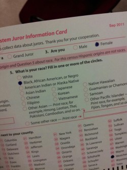 rotiqueen:   It took me so long to fill this out because I kept making faces at the form for still having Negro on it. NEGRO?! It’s 2013, why is this an option on a government form?! Tuh. *side eye* 