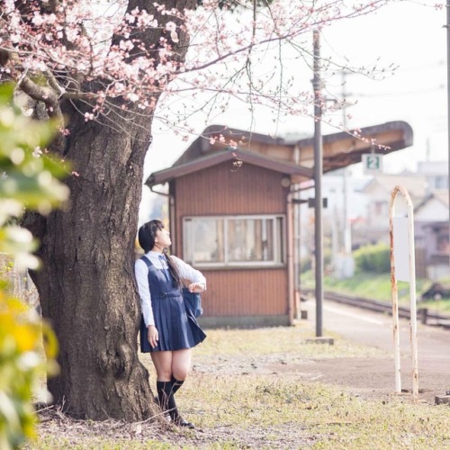 #portrait #photograph #photoshoot #japanese #japaneseview #schooluniform #girl #spring #架空荘 #kakuuso