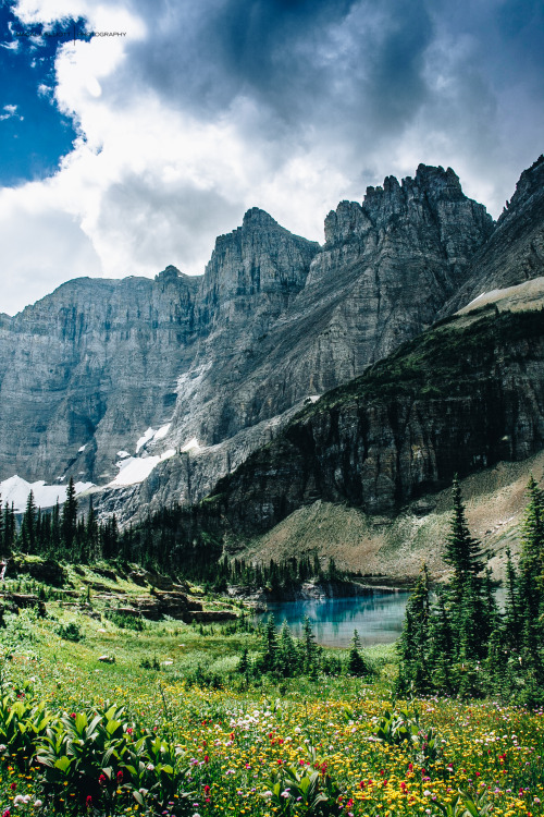 macalaelliottphotography: Trail to Iceberg Lake | Glacier National Park Macala Elliott Photography