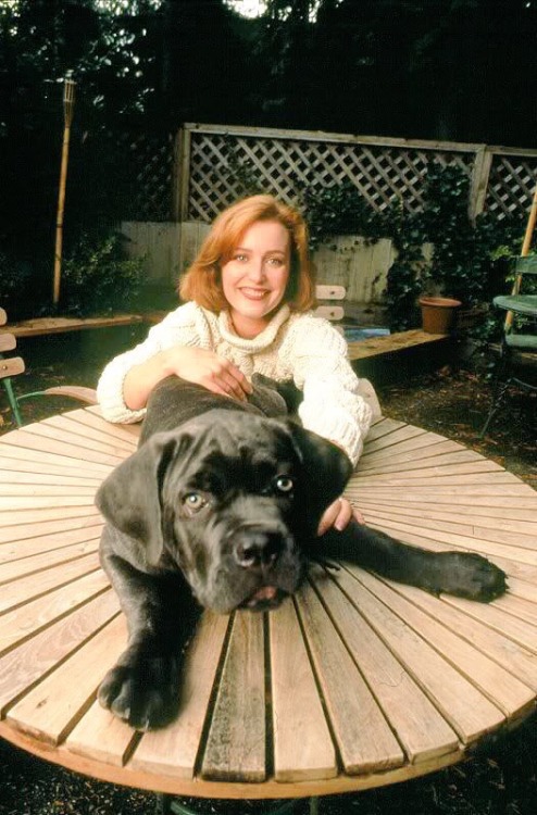 defnotmeyo: medicaldoctordana: Gillian &amp; Dogs This makes me happy